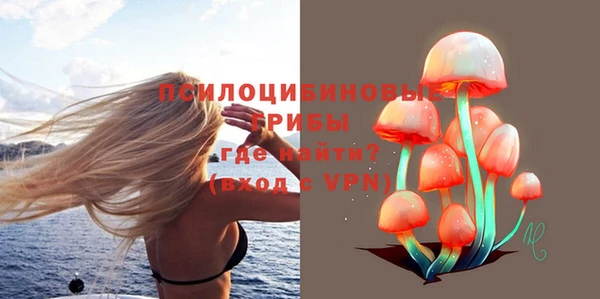 спайс Арсеньев