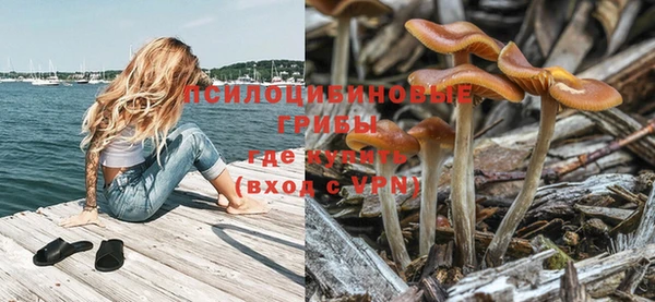 крисы Кострома