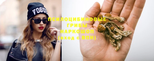 спайс Арсеньев