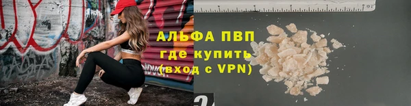 спайс Арсеньев