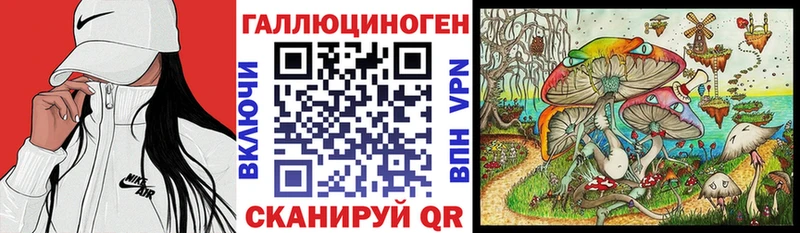цена   Зеленоградск  Псилоцибиновые грибы Psilocybe 